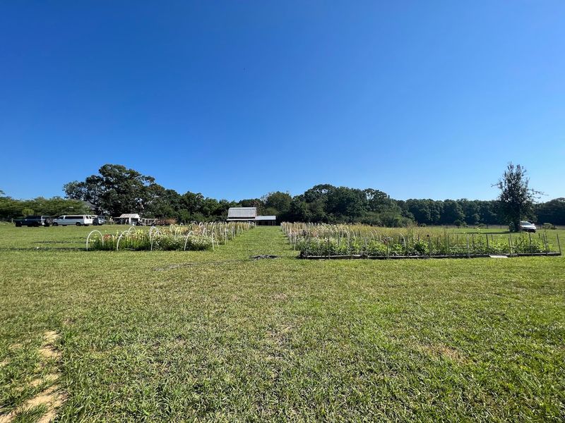 Live Music That Sets the Perfect Mood