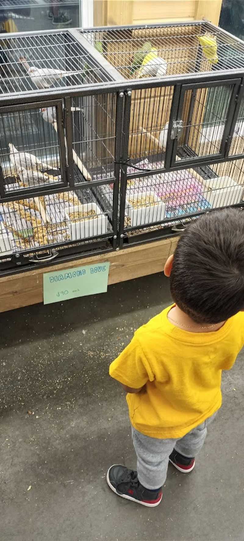 Family-Friendly Entertainment for All Ages