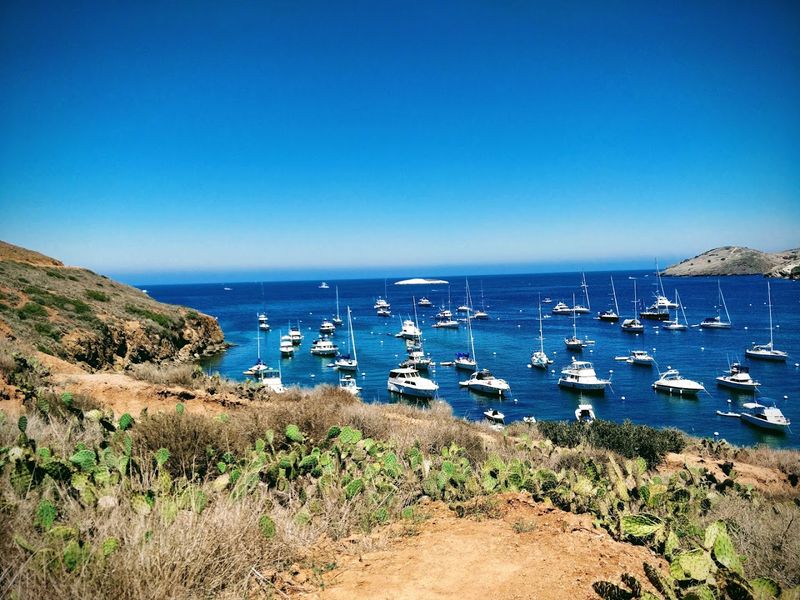 The Charming California Island Where Private Cars Are All But Banned - Decor Hint Two Harbors: The Quiet Side Of The Island