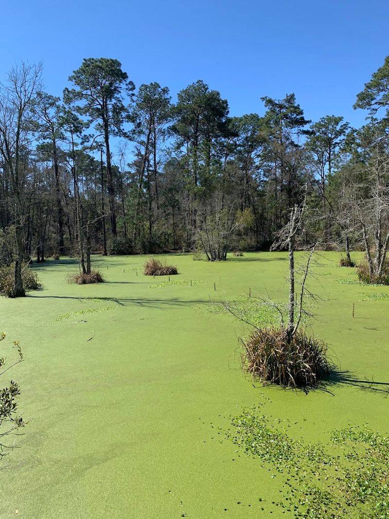 18-Hole Disc Golf Course
