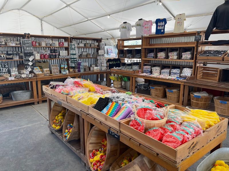 Ticket Pricing And What It Includes