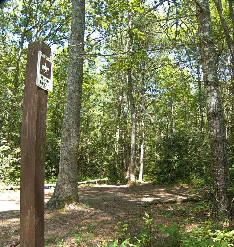High Falls Loop, Cedar Mountain