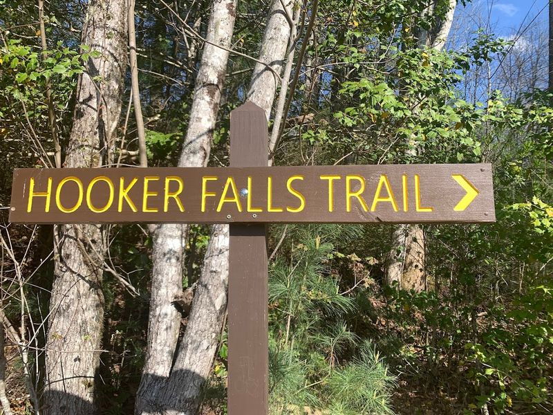 Hooker Falls Trail, DuPont State Forest
