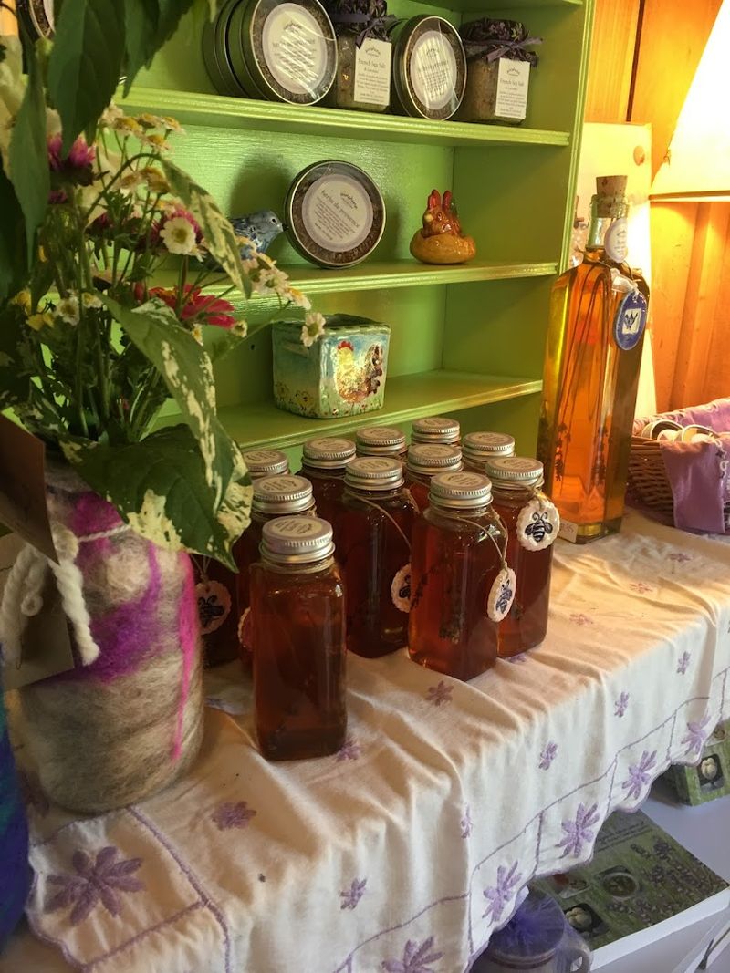 Planning Your Lavender Getaway Right