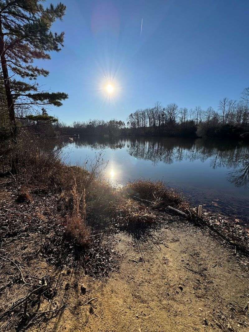 What Is It Worth Returning To