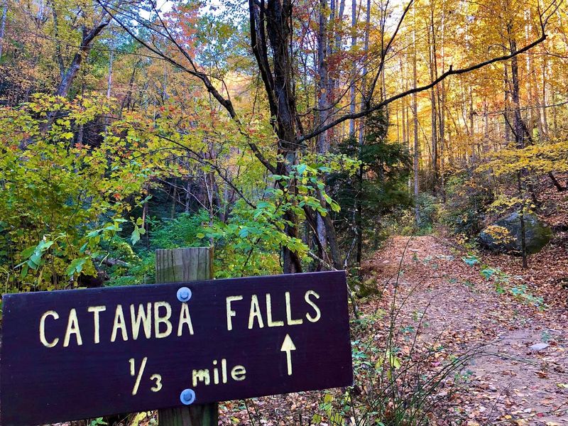 Tips For Making The Most Of Your Visit 