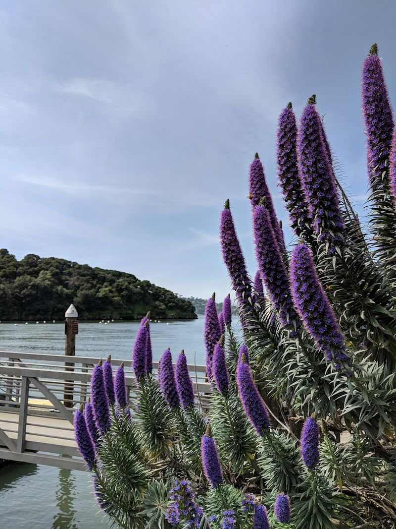 Wildlife And Natural Beauty Along The Way