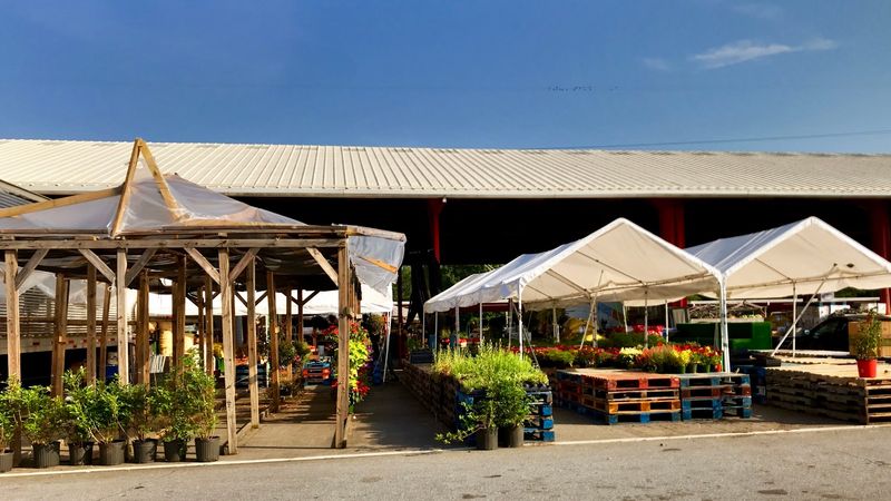 WNC Farmers Market