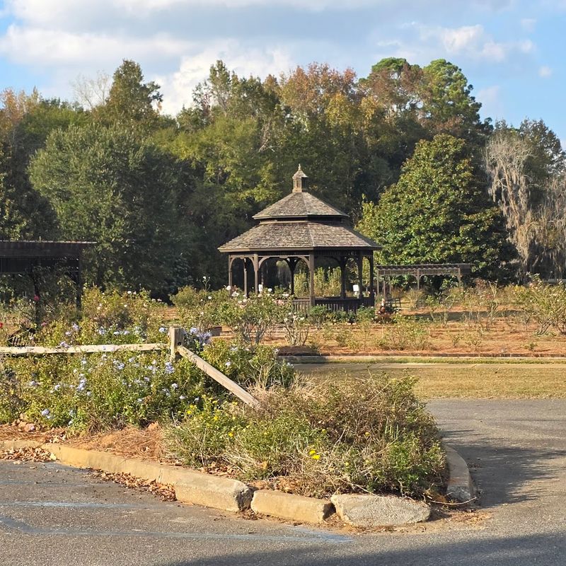 Annual Rose Show and Festival