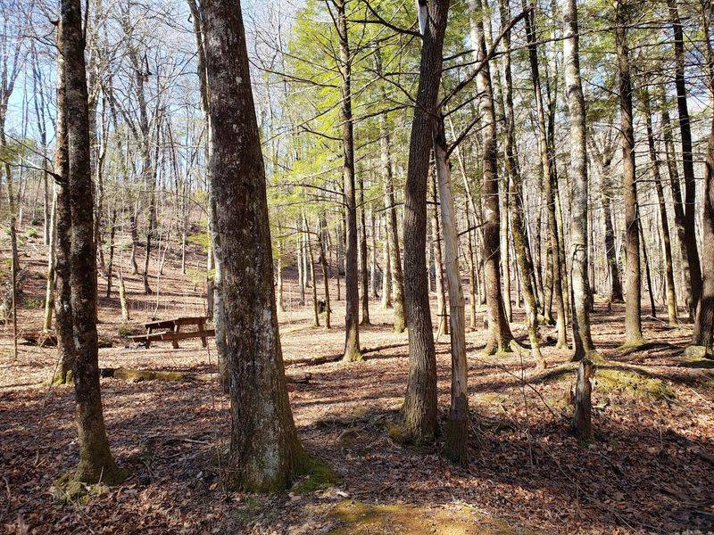 Anglers Love This Clarkesville Georgia State Park Where The State Record Spotted Bass Was Caught - Decor Hint Geocaching in the Georgia Mountains