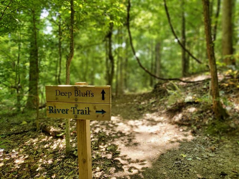 North Carolina’s Best Kept Mystery With The Ancient Pines And The Mermaid’s Secret - Decor Hint The Cool Breath Of The River Wilderness