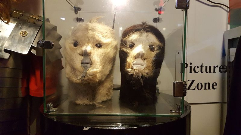 Visitors With A Love of Pop Culture Will Find Familiar Touchstones Throughout