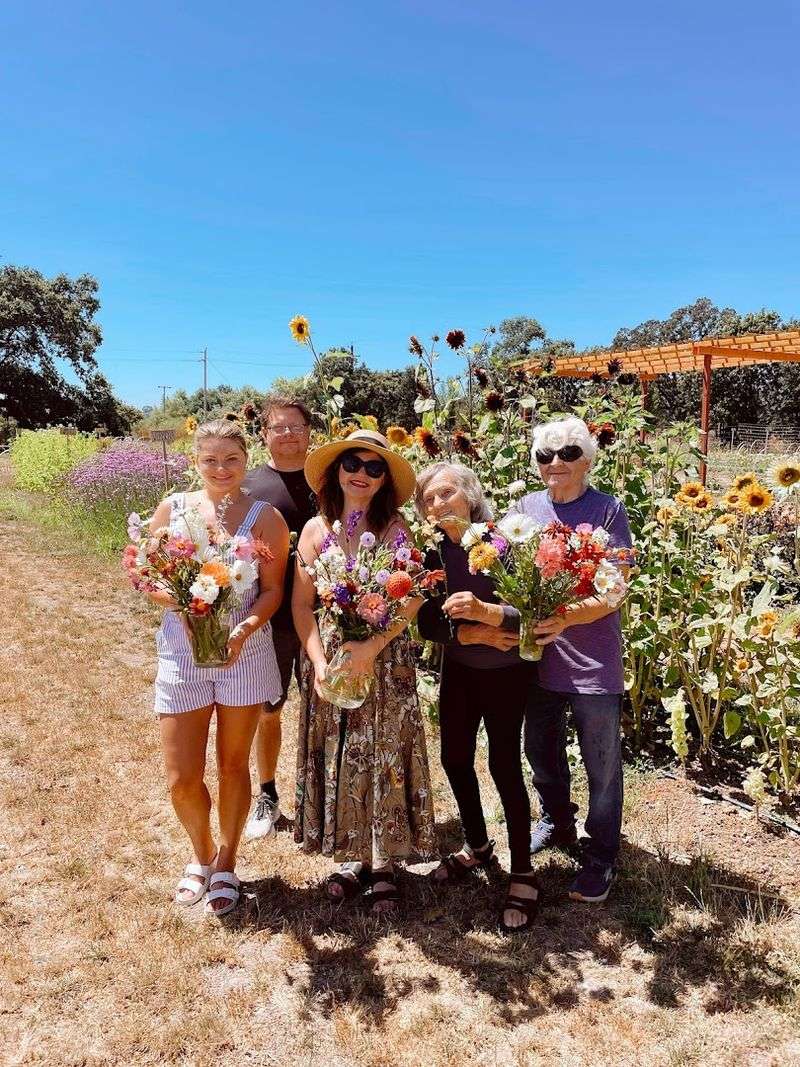 This California Flower Farm Turns April Into A Living Spring Canvas - Decor Hint Bringing The Family Along