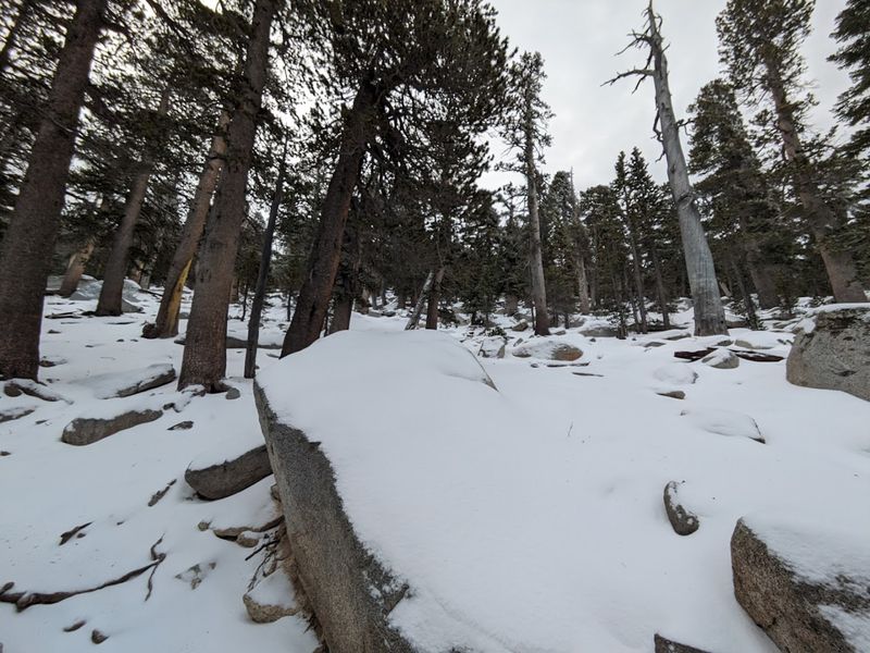 San Jacinto Peak Via Marion Mountain