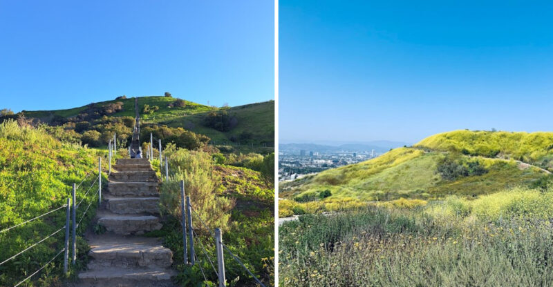 California Stairway Trail Turns Into A Springtime Wonderland With Incredible City Views