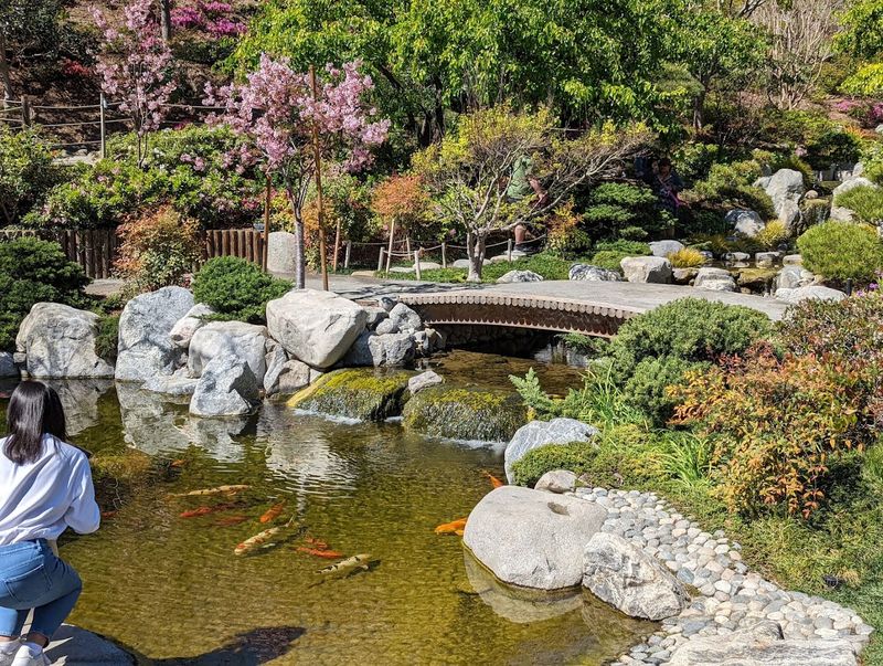A Hidden Japanese Oasis