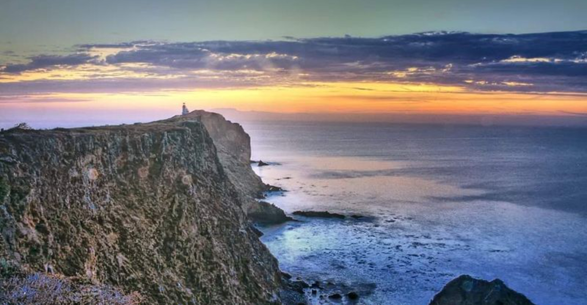 Californias Remote Island That Feels Like Another World - Decor Hint