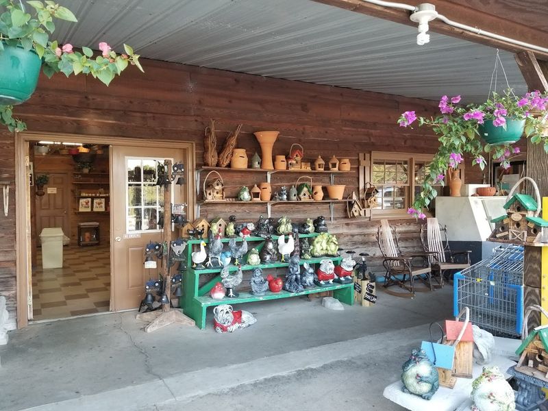 Jaemor Farms – Alto