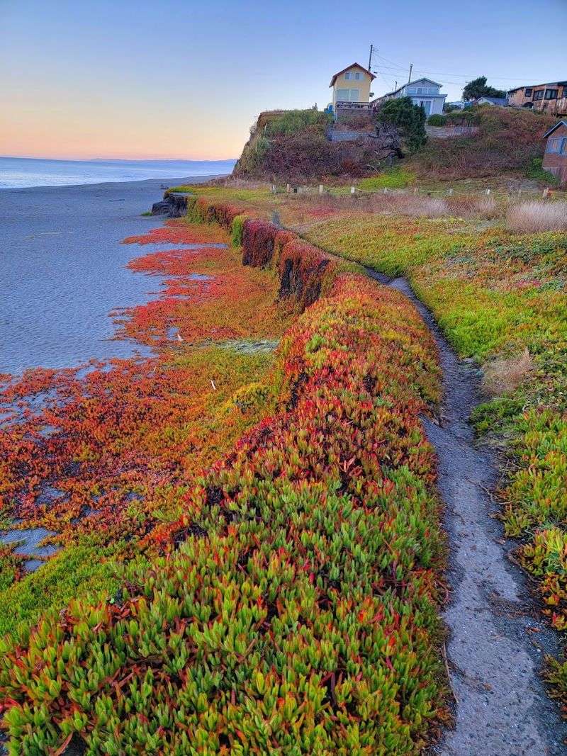 Formerly Known As Patrick's Point State Park