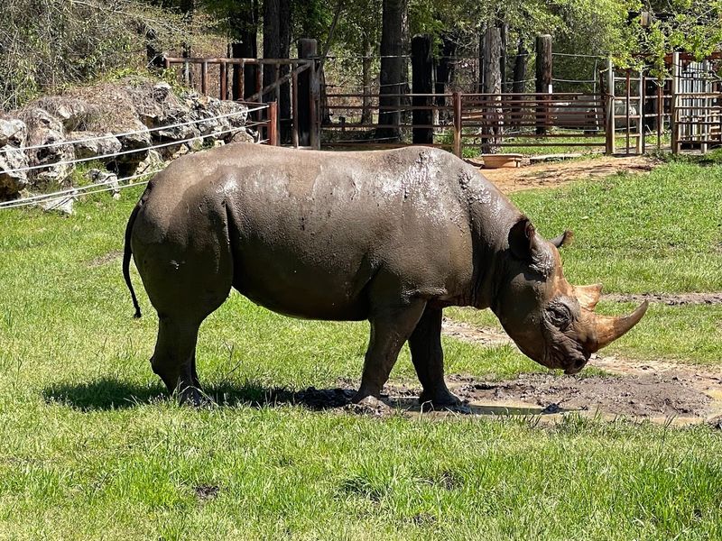 Meaningful Conservation Efforts