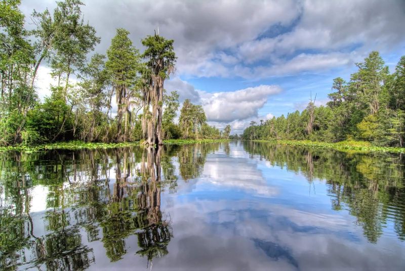 Picnic Shelters Surrounded by Nature