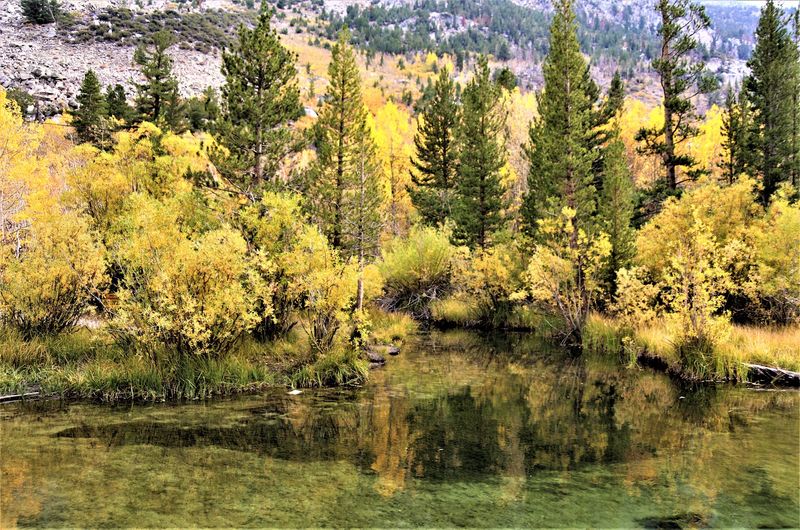 Wildlife Sightings Add An Unexpected Dimension