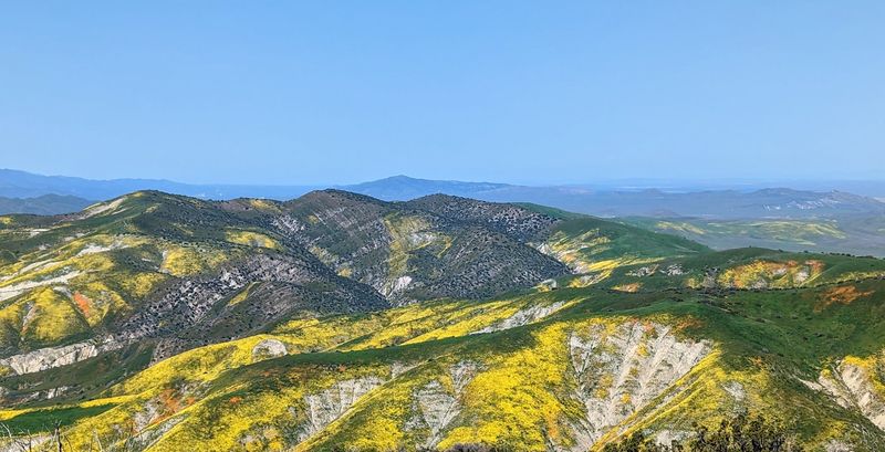 The Caliente Ridge Trail Offers A View Worth The Climb