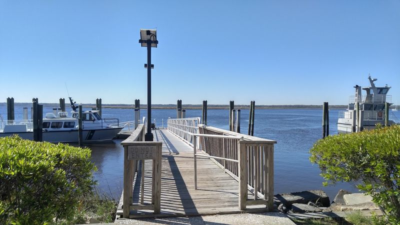 Camping Under The Stars On The Island