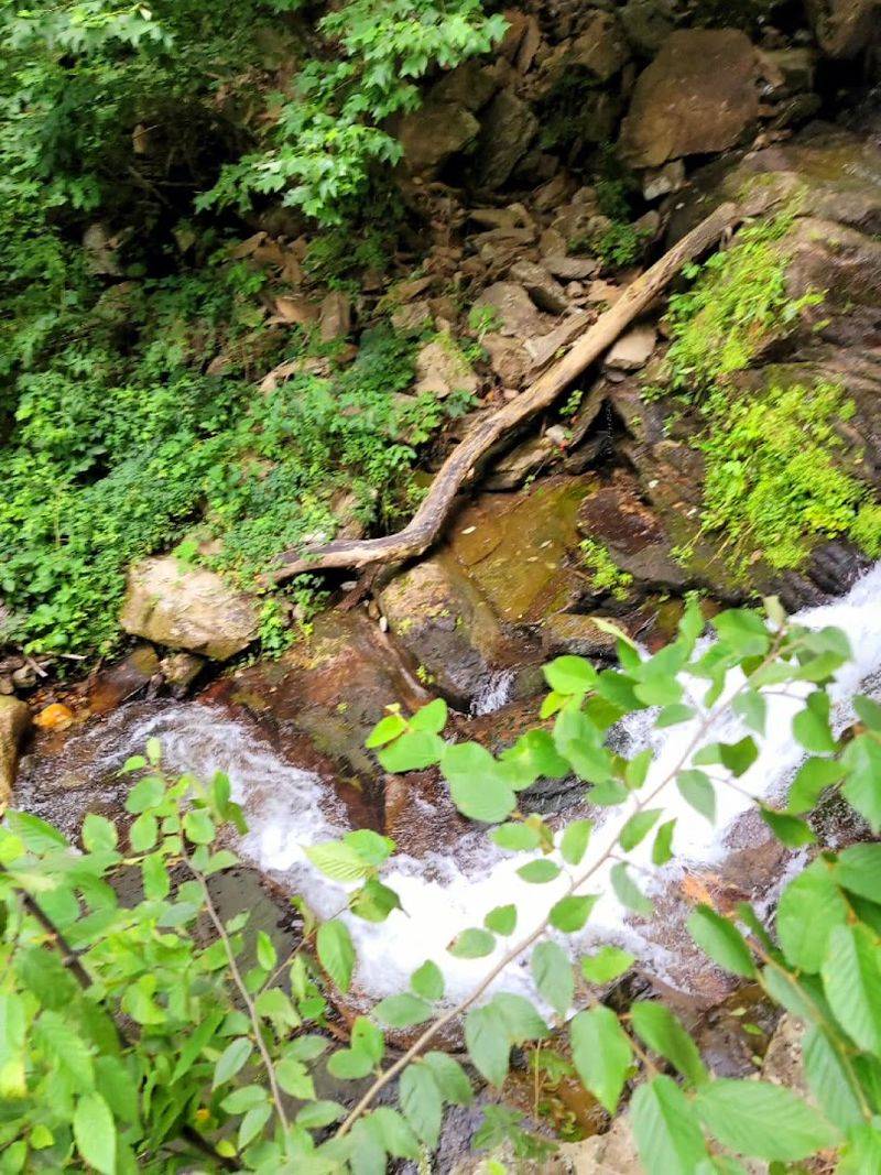 Fishing in Peaceful Streams and Ponds