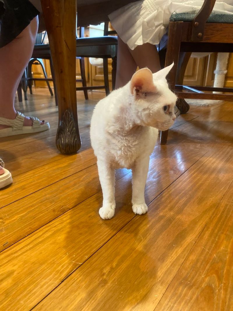 Seasonal Events and Special Activities