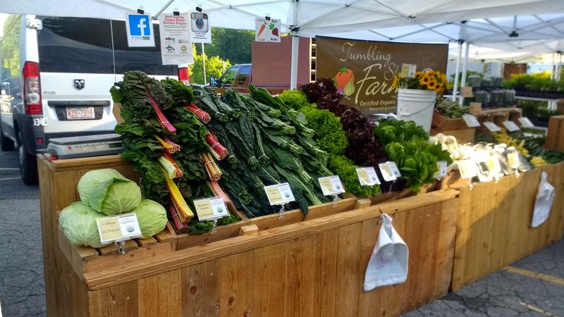 Watauga County Farmers Market, Boone