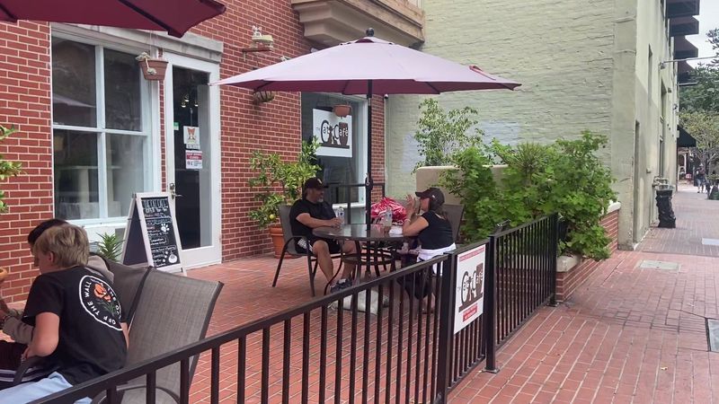 10 Cozy Cat Cafes In California Where You Can Relax With Adorable Felines - Decor Hint The Cat Cafe