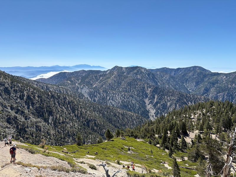 Mount Baldy Summit Trail