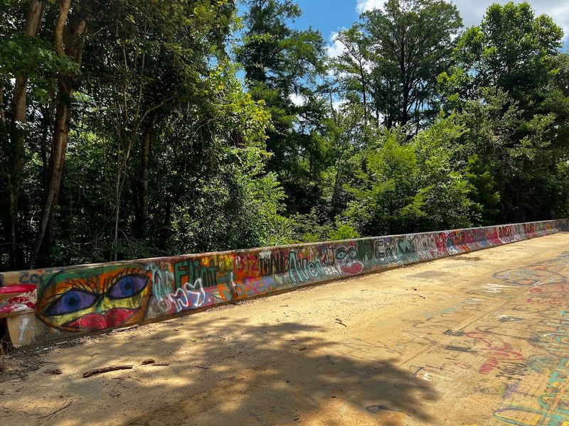 11 Eerie Abandoned Places In Georgia That Feel Like Time Capsules - Decor Hint Spook Bridge, Brooks-Lowndes County Line