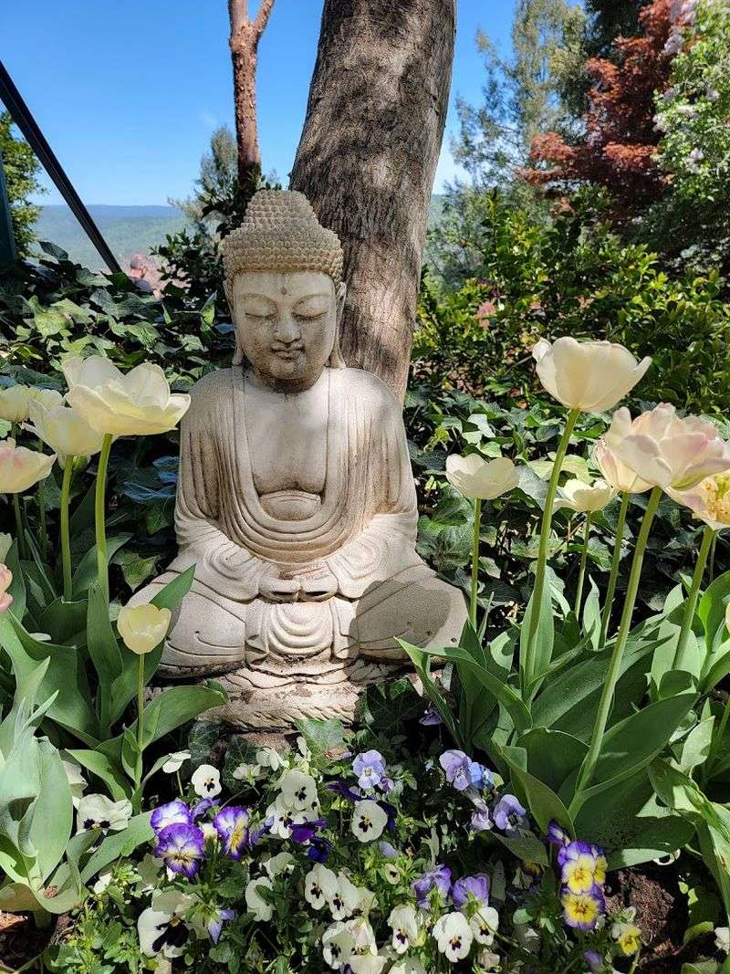 Summer Blooms Keep The Garden Going