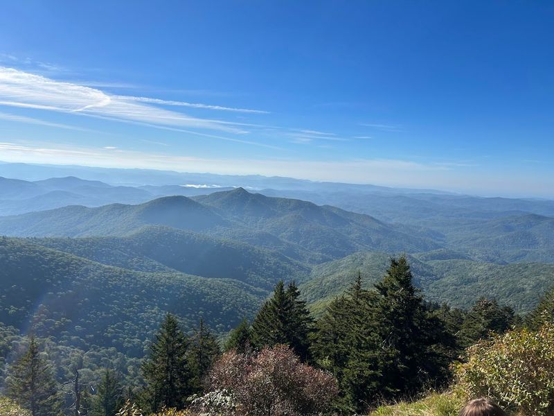 Black Balsam Knob Trail