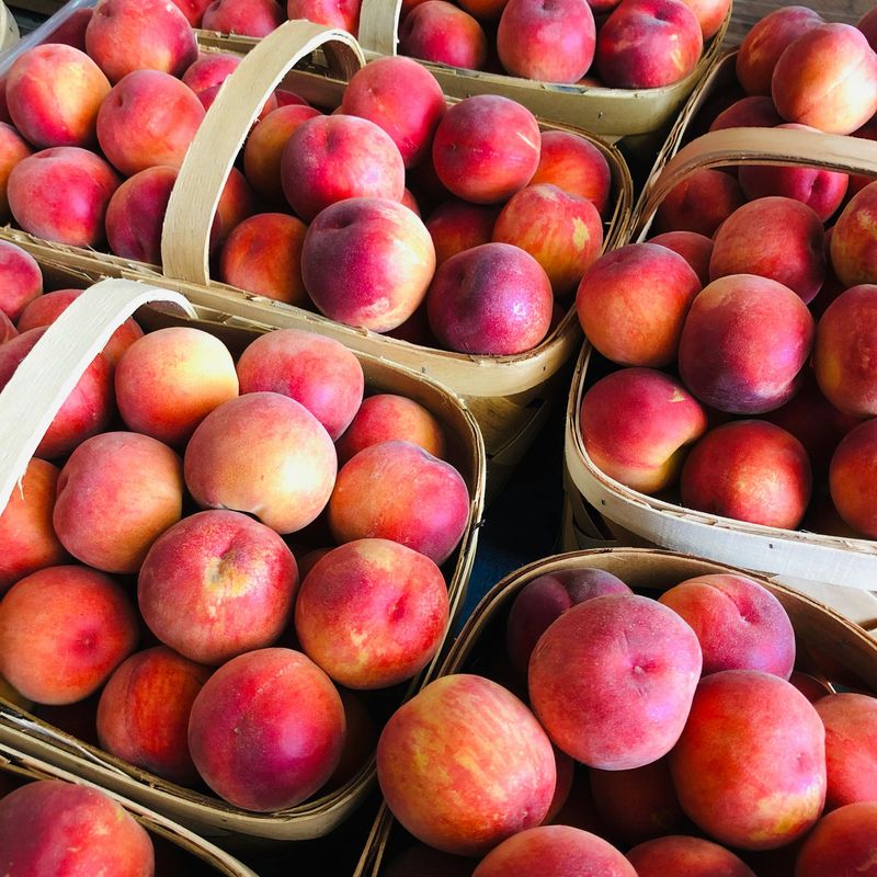 15 Must-Have Wedding Foods In Georgia That Everyone Expects To See - Decor Hint Fresh Seasonal Fruits