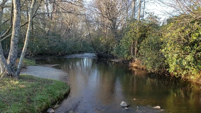 Price Lake Picnic Area
