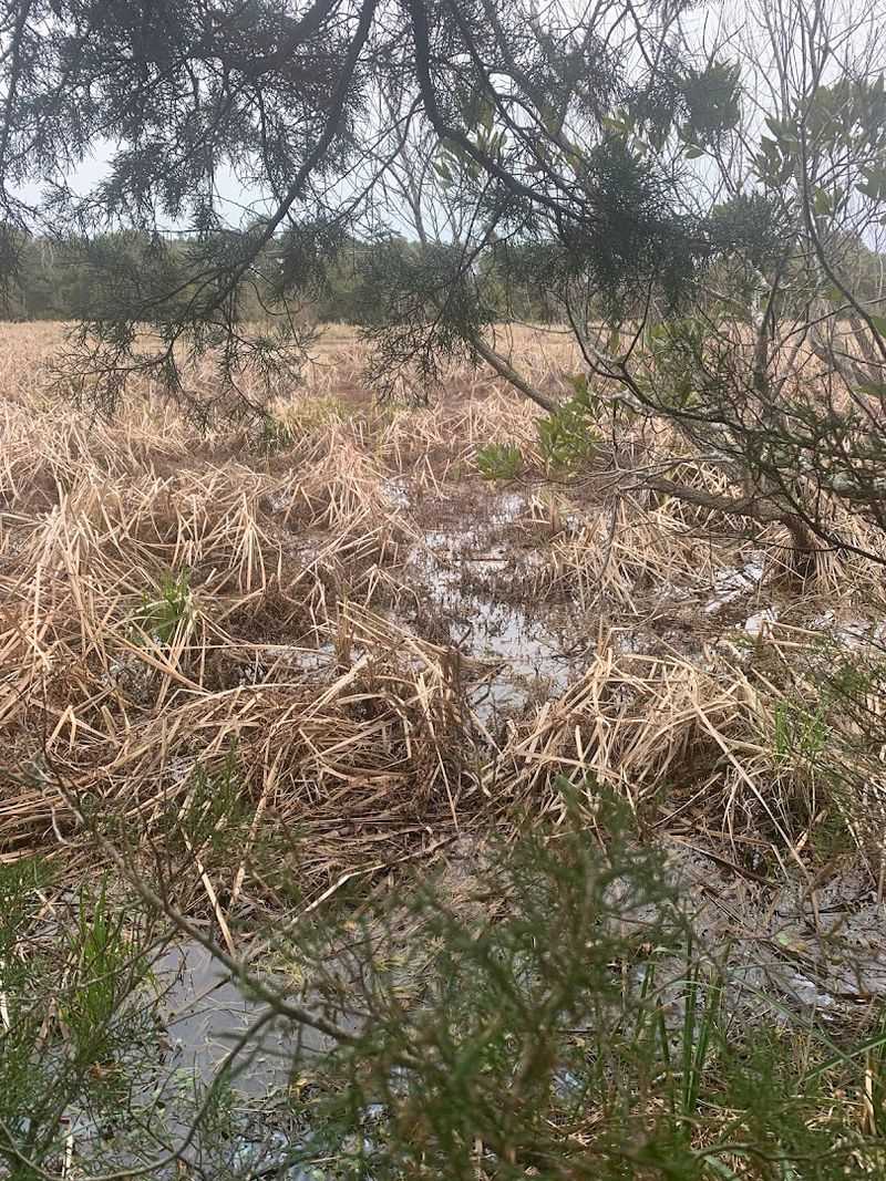 Natural Island Dunes And Hollows