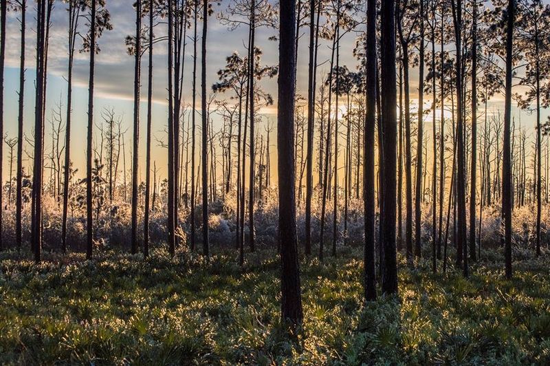 Camping Facilities for Every Style