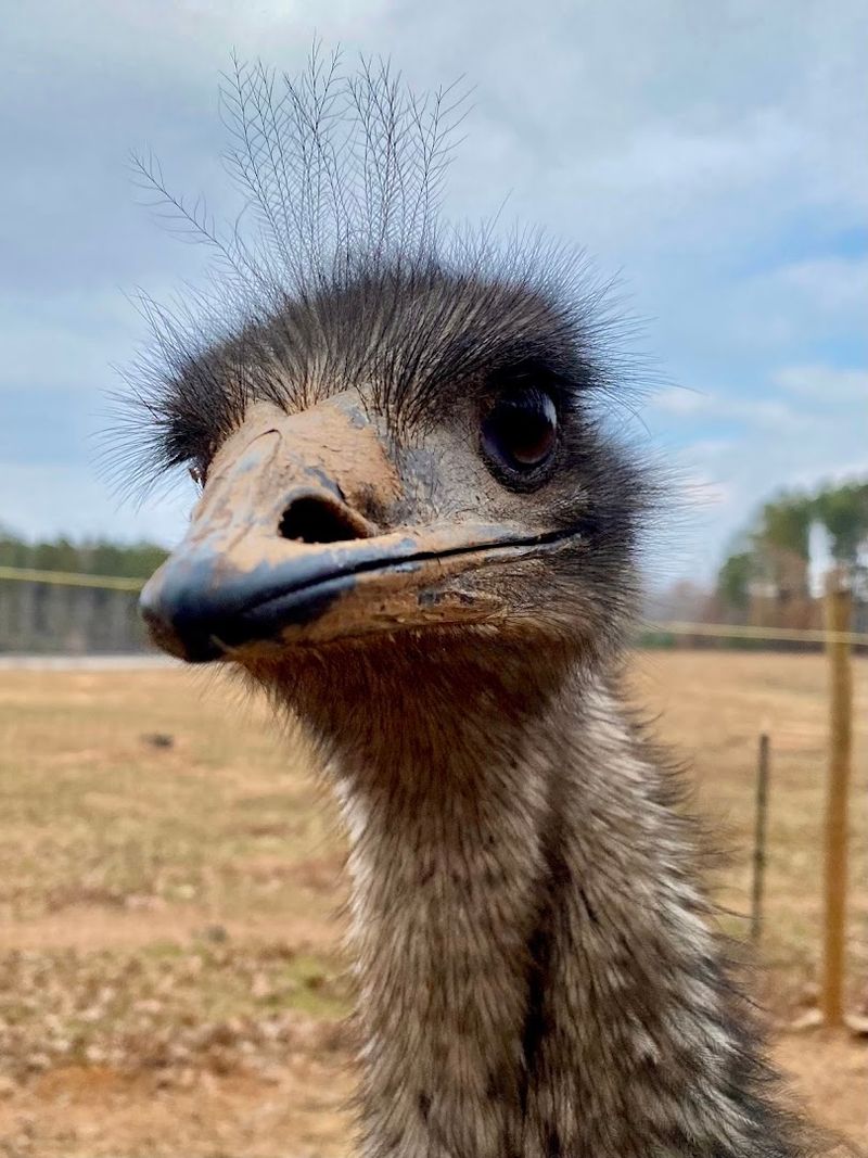 Lasting Memories That Families Carry For Years