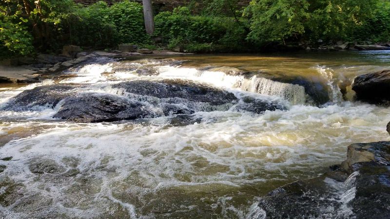 Completely Free Admission With No Catch