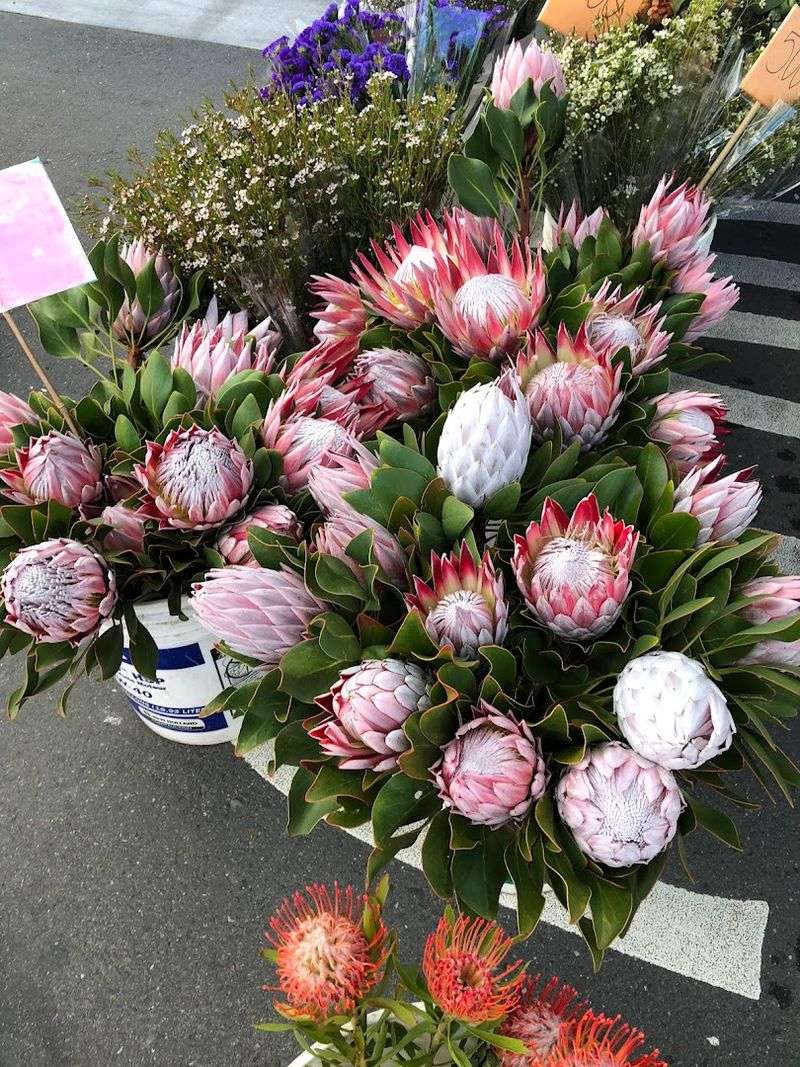 Fresh Flowers And Honey Straight From The Source