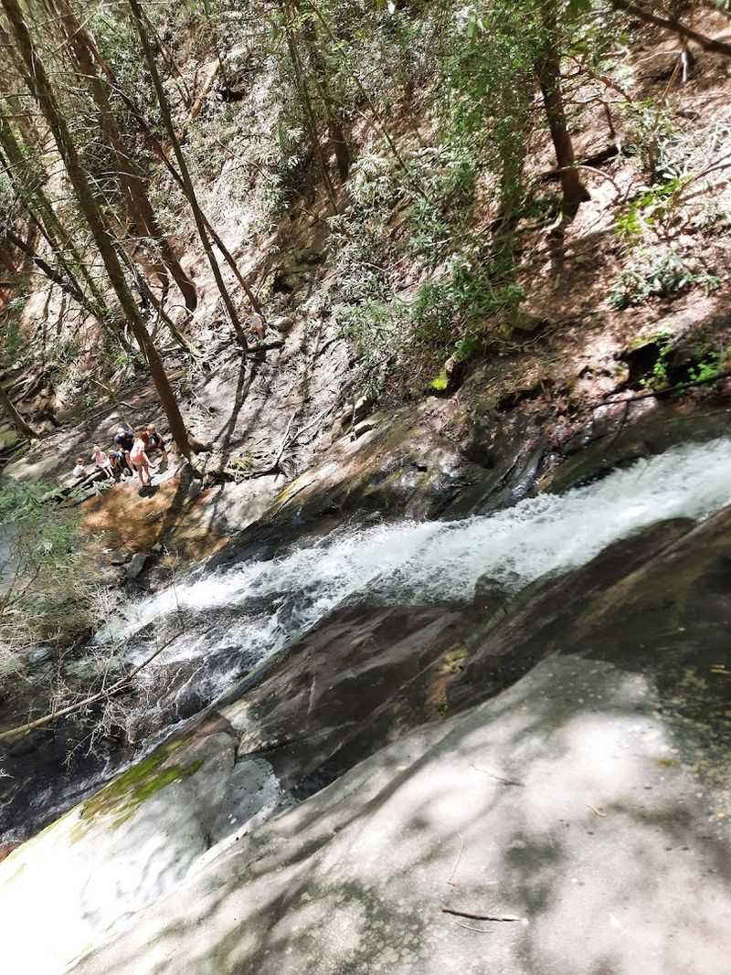 Something New to See in Every Season