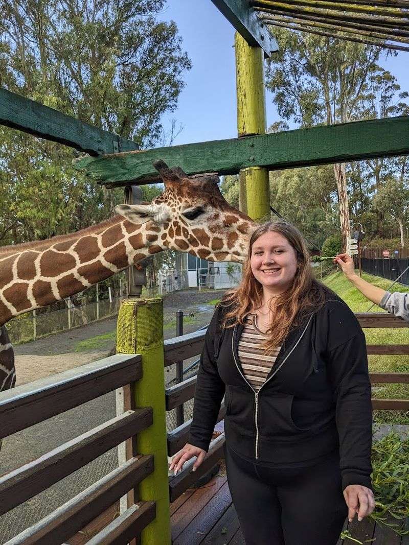 Two Baby Giraffes Named Chich And Oz Joined The ParK