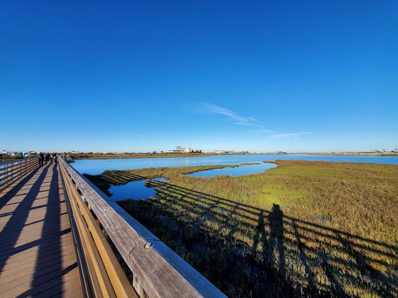 Volunteer Programs Keep The Reserve Healthy And Engaged