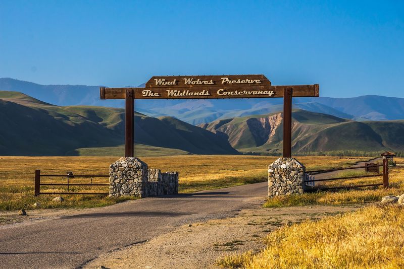 Camping Options Are Simple And Genuinely Off-Grid