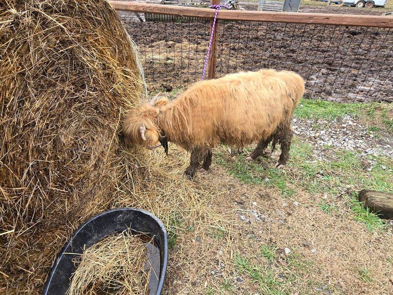 Commitment to Education and Sustainable Farming Practices