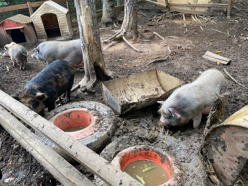 Affordable Admission That Fits Any Budget