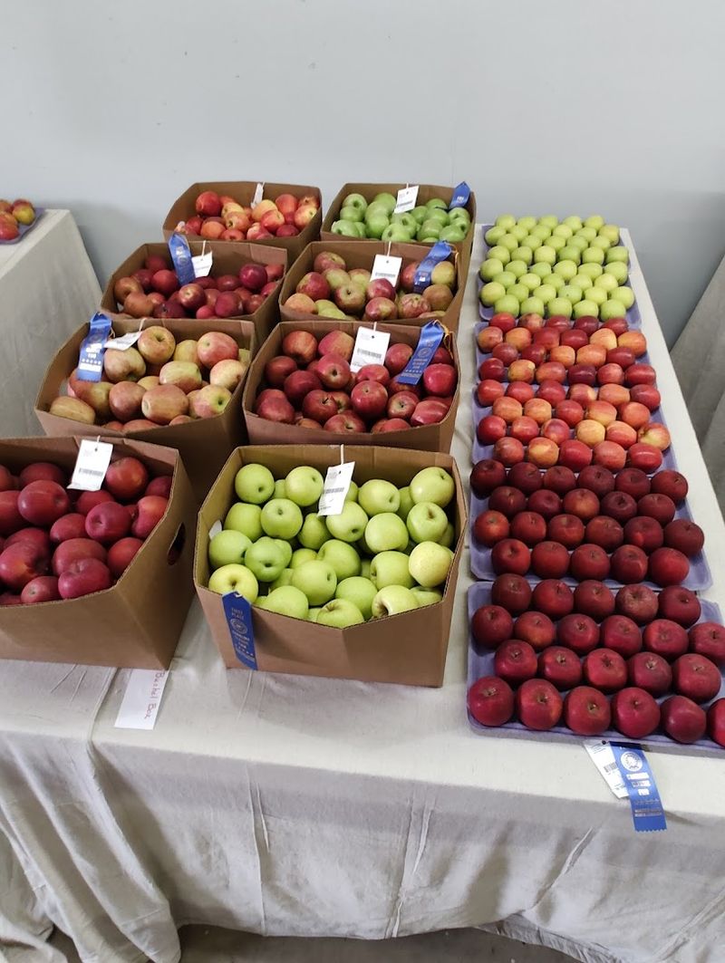 15 Best Flea And Street Markets In North Carolina To Visit In 2026 - Decor Hint Winston-Salem Fairgrounds Farmers' Market